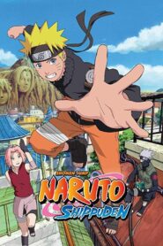 Naruto Shippūden 2007