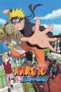 Naruto Shippūden 2007